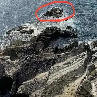 猪ノ子島の様子