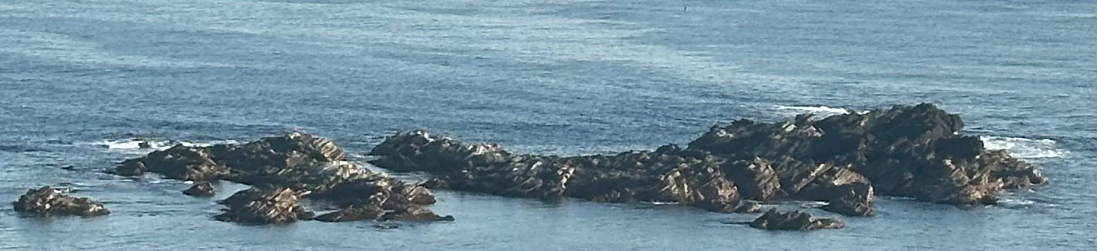 千鳥島の様子